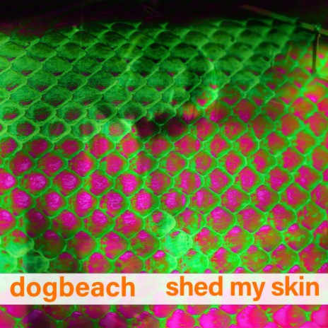 Shed My Skin | Boomplay Music