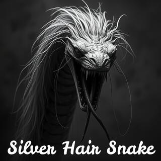 Silver Hair Snake lyrics | Boomplay Music