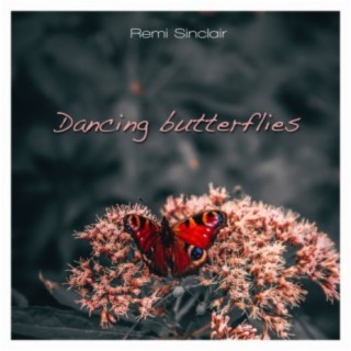 Dancing Butterflies