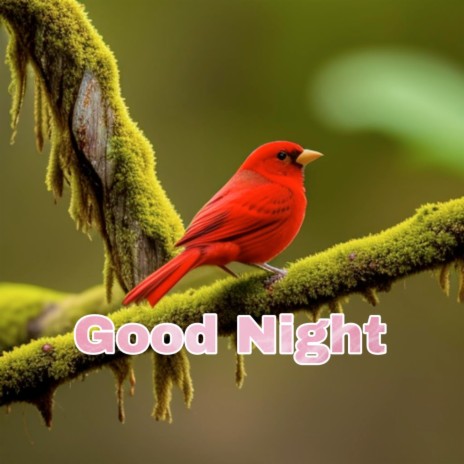 Good Night | Boomplay Music