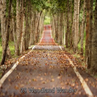 29 Woodland Wander