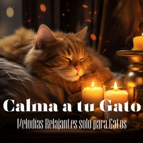 Susurros de Paz Nocturna ft. Cat Music Dreams & Cat Music Zone | Boomplay Music