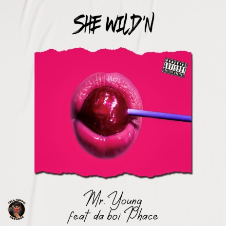 She Wild'n ft. Mr. Young