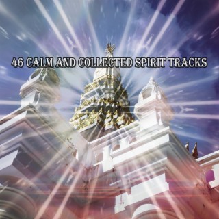 46 Calm And Collected Spirit Tracks