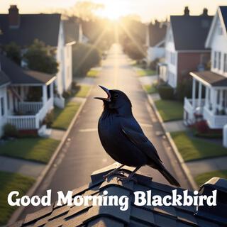 good morning blackbird