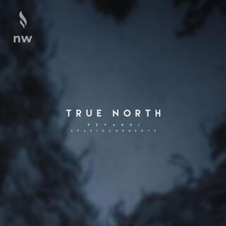 True North