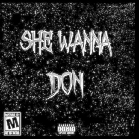 She Wanna ft. WolfLyfe | Boomplay Music