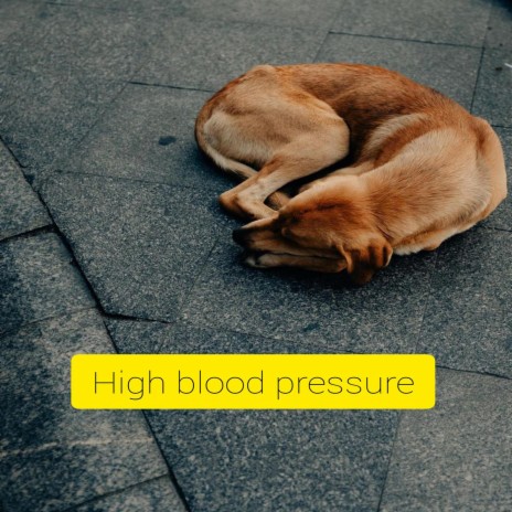 High Blood Pressure | Boomplay Music