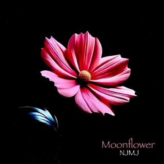 Moonflower