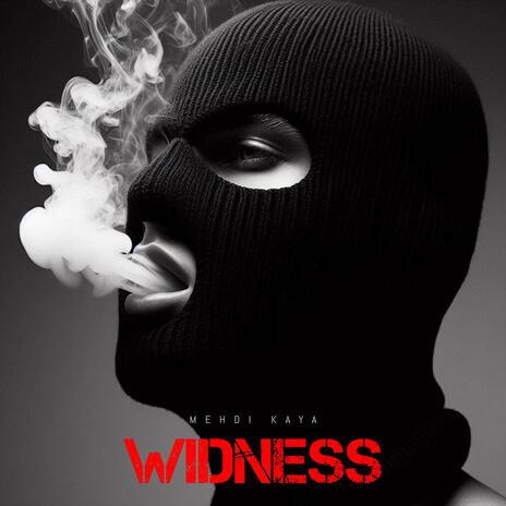 WIDNESS | Boomplay Music