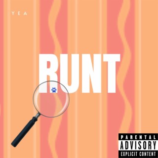 Runt lyrics | Boomplay Music