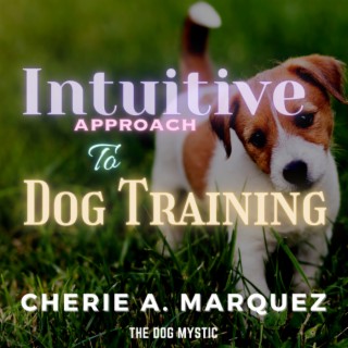 Unleashing the Power of Intuition: A Mindful Approach to Dog Training
