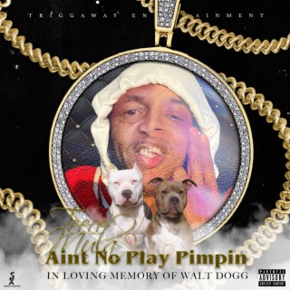 Aint No Play Pimpin (In Loving Memory Of Walt Dogg)