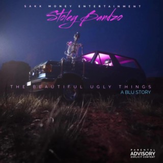 THE BEAUTIFUL UGLY THINGS (A Blu Story)