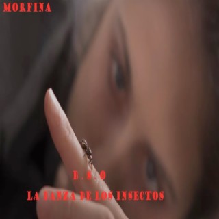 Morfina B.S.O. La danza de los insectos