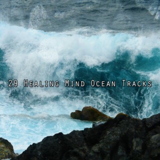 29 Healing Mind Ocean Tracks