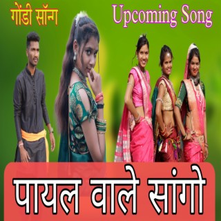 Payal Wale Sango Gondi Song