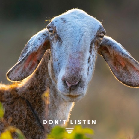 Don't Listen | Boomplay Music