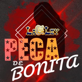 Peca De Bonita