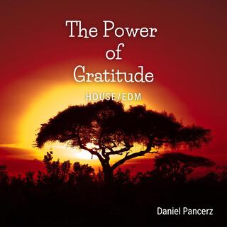 The Power of Gratitude