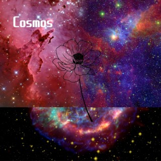 Cosmos