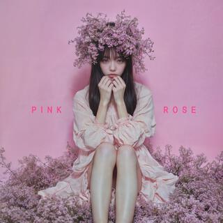 Pink Rose