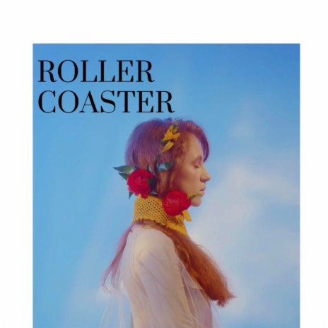 Roller Coaster | Boomplay Music