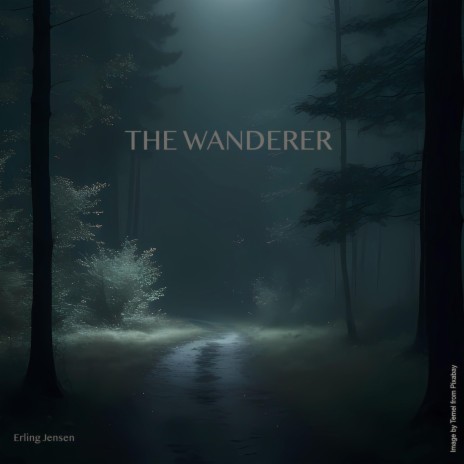 The Wanderer | Boomplay Music