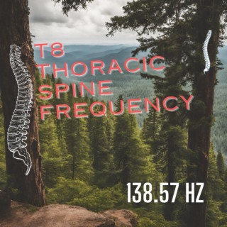 T8 Thoracic Spine Frequency (138.57 Hz)