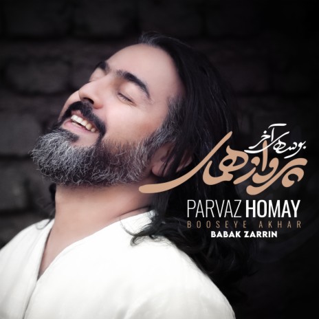 Booseye Akhar ft. Babak Zarrin | Boomplay Music