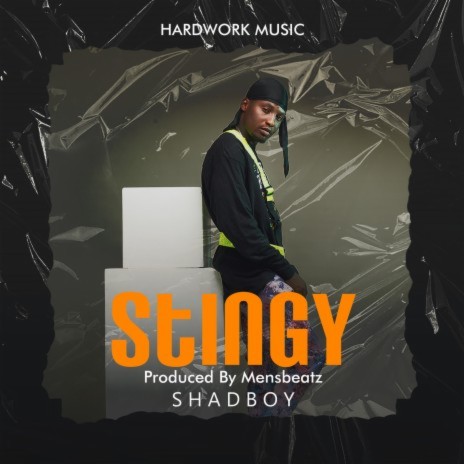 Stingy | Boomplay Music