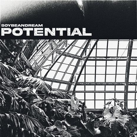 POTENTIAL | Boomplay Music