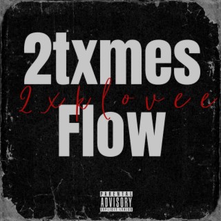 2txmes Flow