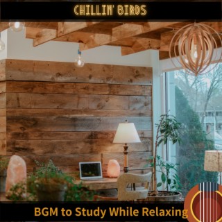 Bgm to Study While Relaxing