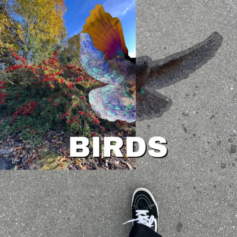 Birds ft. Micah | Boomplay Music