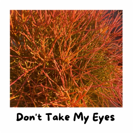 Don't Take My Eyes | Boomplay Music