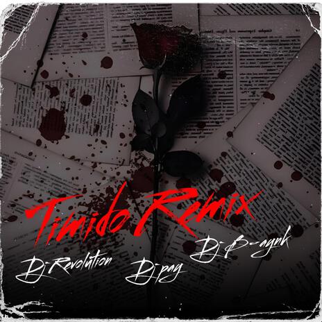 Timido Remix ft. Dj B-aynk & Dj Pay | Boomplay Music