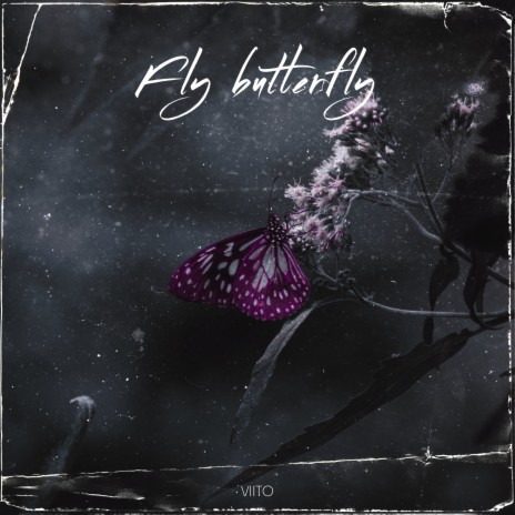 Fly Butterfly | Boomplay Music