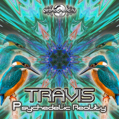 Psychedelic Reality | Boomplay Music