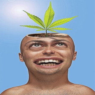 GANJA HEAD