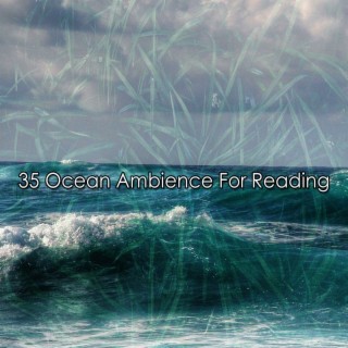 35 Ocean Ambience For Reading