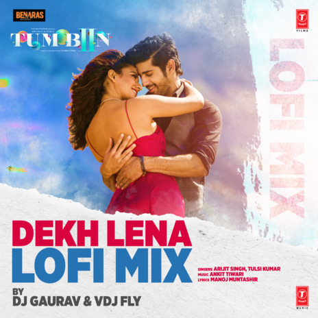 Dekh Lena Lofi Mix ft. Tulsi Kumar, Dj Gaurav & Vdj Fly | Boomplay Music