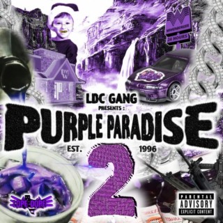 Purple Paradise 2