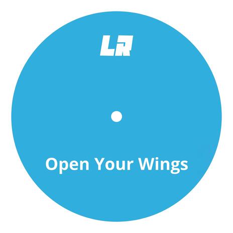 Open Your Wings | Boomplay Music