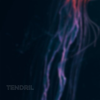 Tendril EP