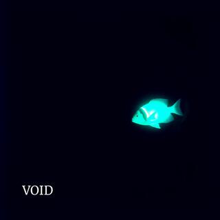 Void