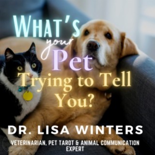 What's Your Pet Trying to Tell You?