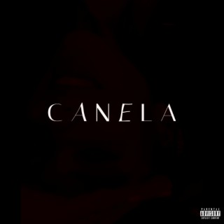 PIEL DE CANELA lyrics | Boomplay Music