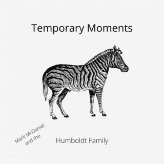 Temporary Moments (Remaster 2022)