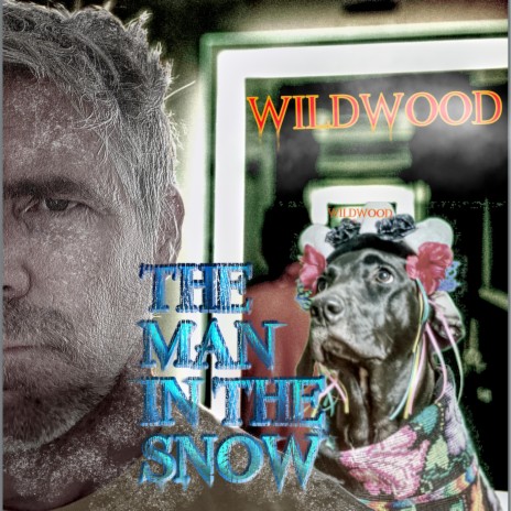 The Man In The Snow | Boomplay Music